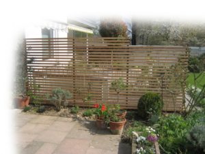 Sichtschutz und Rankhilfe in einem